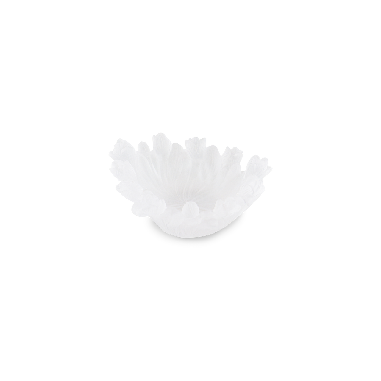 Tulip Coaster - OXANA