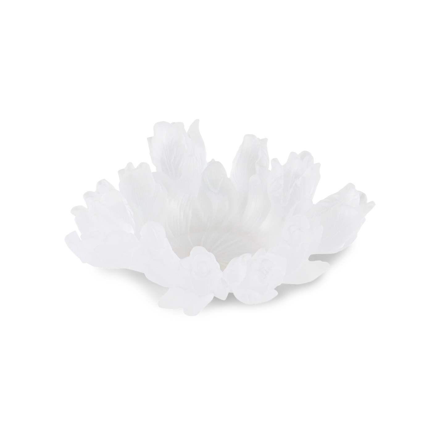 صحن توليب - أوكسانا